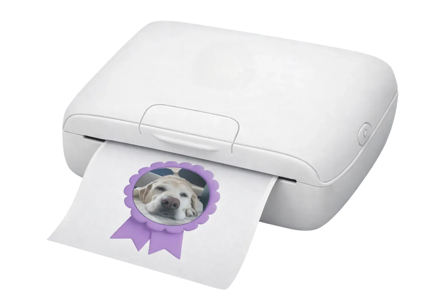 Printed and delivered